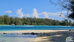 Captain Taina | Full Day Moorea Lagoon Tour {Overview}