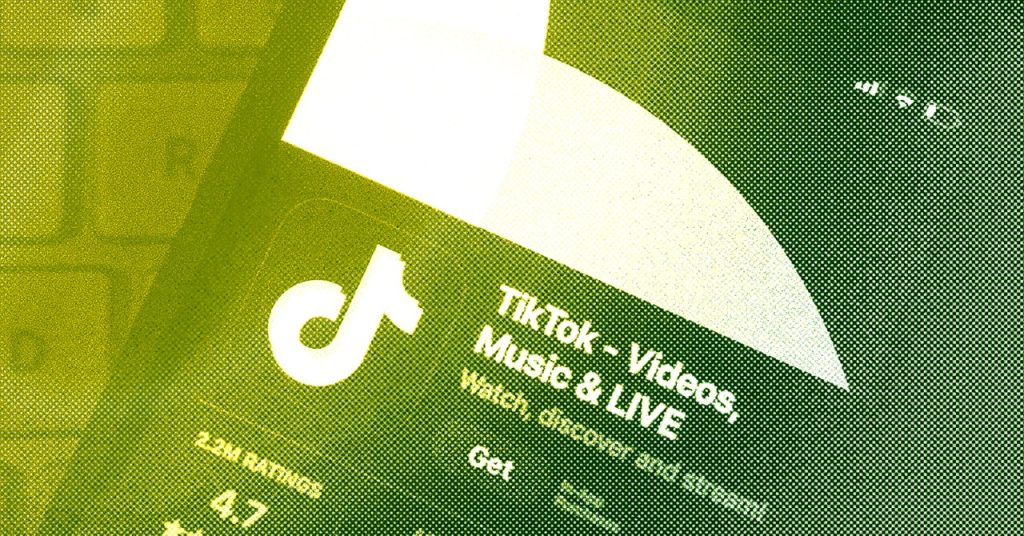 TikTok Stole Our Hearts, however Can It Final?