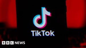 TikTok says information of 4 lifeless British teenagers might have been eliminated