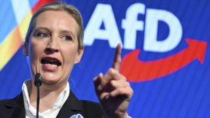 Alice Weidel, unlikely queen of German far-right AfD