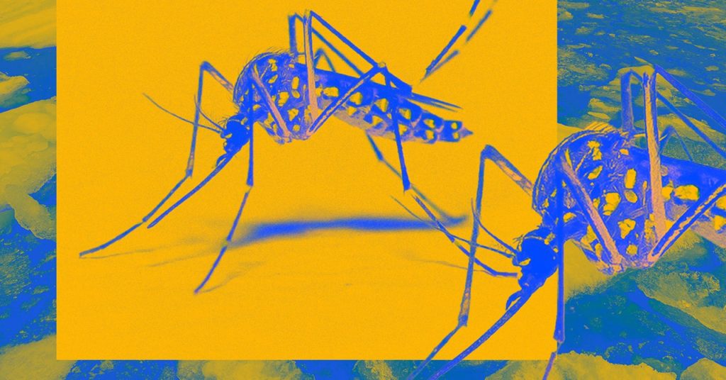 ‘Dengue Boy’ Is the Bizarre, Fleshy Novel You Want Proper Now