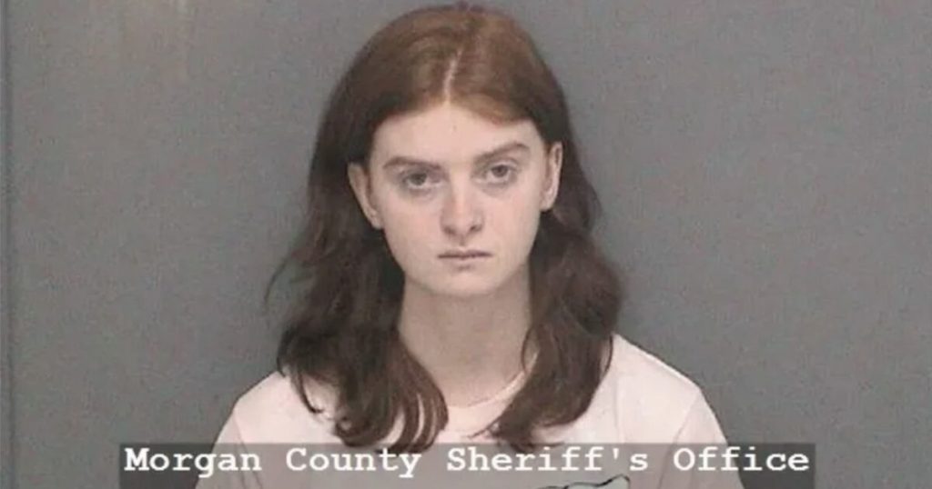 18-12 months-Outdated Transgender Arrested for Allegedly Plotting Valentine’s Day College Bloodbath Impressed by Parkland Capturing | The Gateway Pundit