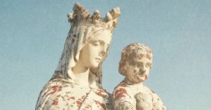 Opinion | My movie ‘Sugarcane’ Is Up for an Oscar. Right here’s What I Hope Occurs Subsequent.