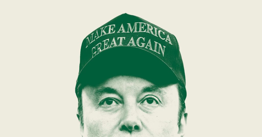 Opinion | Elon Musk and the Ineffective Spending-Minimize Theater of DOGE