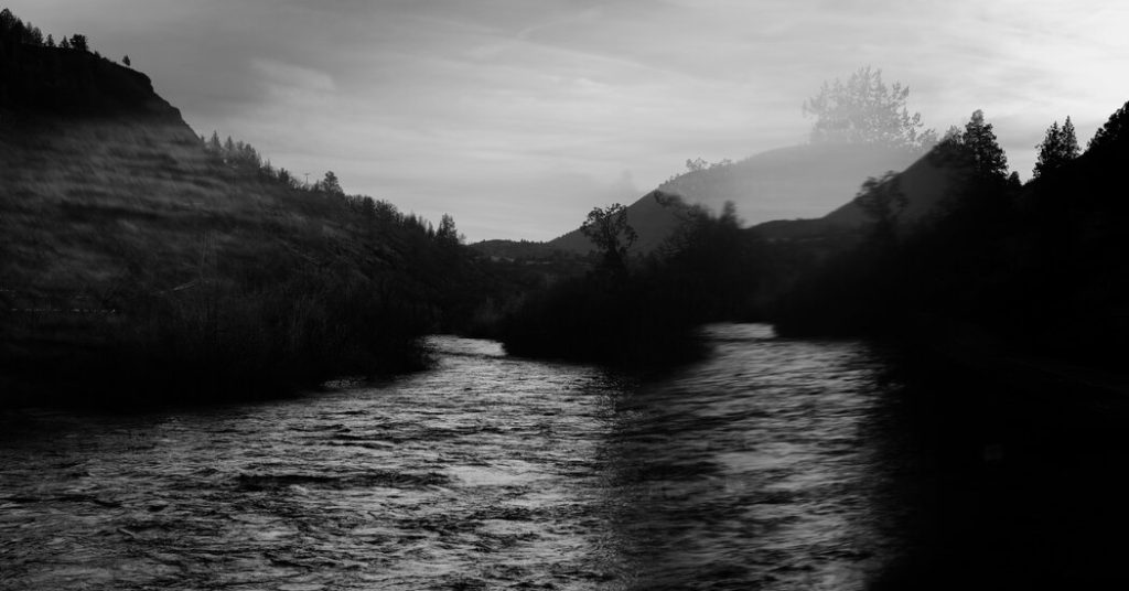 Opinion | A Story About Salmon That Virtually Had a Pleased Ending