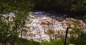 Opinion | Are We Loopy to Cross Such a Treacherous River?