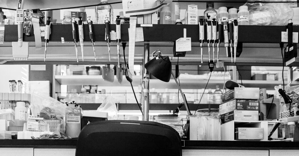 Opinion | We Had been Badly Misled About Covid Opinion | We Had been Badly Misled About Covid