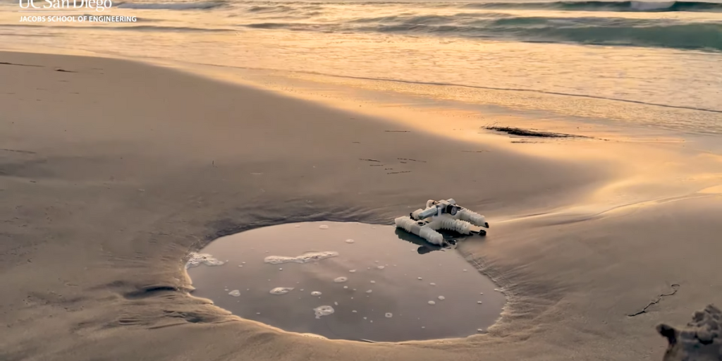 Uncover 3D-Printed Robots and Extra on Video Friday
