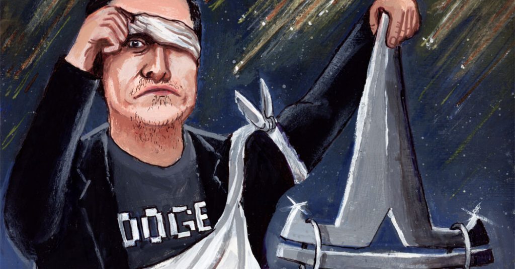 Opinion | Musk Is Not Stopping at DOGE