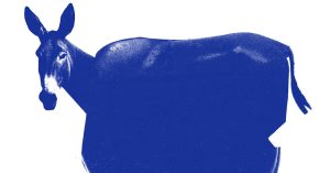 Opinion | The Final Factor Democrats Want Is Their Personal Tea Occasion