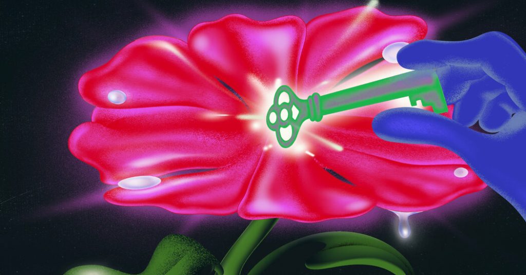 Opinion | Why Did Elon Musk Go After Bunkers Stuffed with Seeds? Opinion | Why Did Elon Musk Go After Bunkers Stuffed with Seeds?