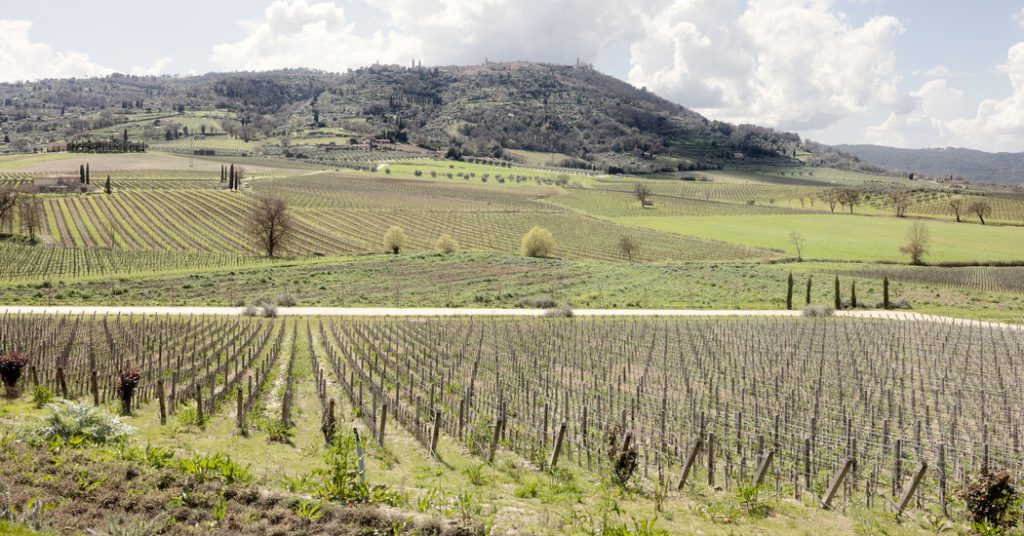 Maintain the Chianti: Tariff Menace Leaves Italian Bottles Grounded Maintain the Chianti: Tariff Menace Leaves Italian Bottles Grounded