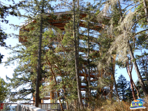 Malahat Skywalk | Vancouver Island, BC {Evaluate & Photographs}