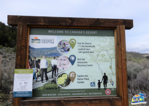 Osoyoos Desert Centre & Boardwalk | Osoyoos BC {Evaluation}