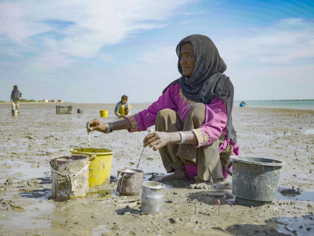 Swallowed by the ocean, Pakistan’s Indus delta now threatened by canals | Water Information
