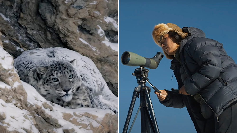 ‘Snow Leopard Sisters’ Discuss Disappearance Of Animals In Clip Of Movie ‘Snow Leopard Sisters’ Discuss Disappearance Of Animals In Clip Of Movie