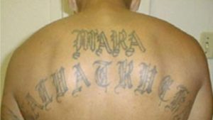 Division of Justice: MS-13 Chief Arrested in Virginia