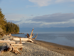 A Vancouver Island Street Journey Itinerary {From A Native}