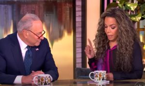 Chuck Schumer Will get Scolded by the Harridans of ‘The View’ for Caving on Persevering with Decision Invoice (VIDEO) | The Gateway Pundit