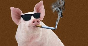 Ought to You Smoke (Meals) Indoors?