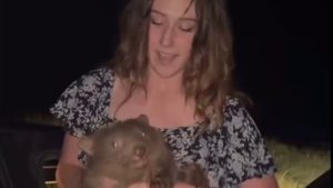 American influencer apologises for snatching Australian child wombat following outrage