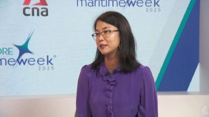 Southeast Asia performs vital function in international vitality transition: Worldwide Vitality Company