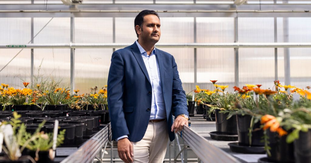 Why Australia Desires to Set Caps on Worldwide College students Why Australia Desires to Set Caps on Worldwide College students