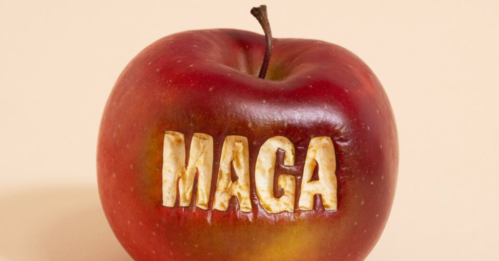 Opinion | The Gutting of Okay-12 Training Is Trump’s First Plain Victory Opinion | The Gutting of Okay-12 Training Is Trump’s First Plain Victory