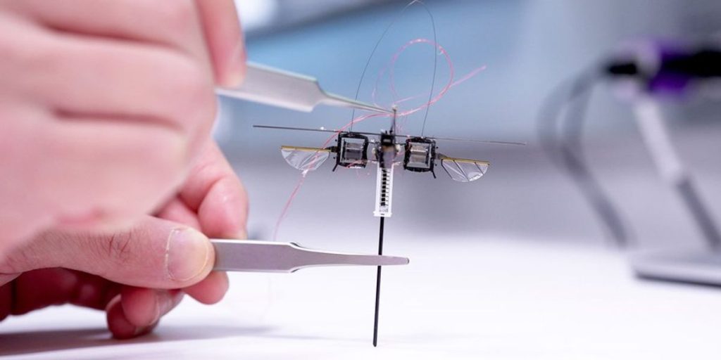 Robotic Movies: Robotic Bug, Murderbot Sci-Fi Sequence, and Extra