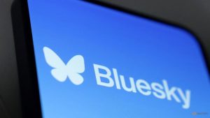 X rival Bluesky provides blue checks for trusted accounts