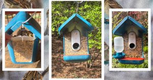 Chook Buddy Professional Evaluation: All Birds, No Trouble
