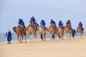 Camel Tour Adventures | Cabo San Lucas, Mexico: Assessment