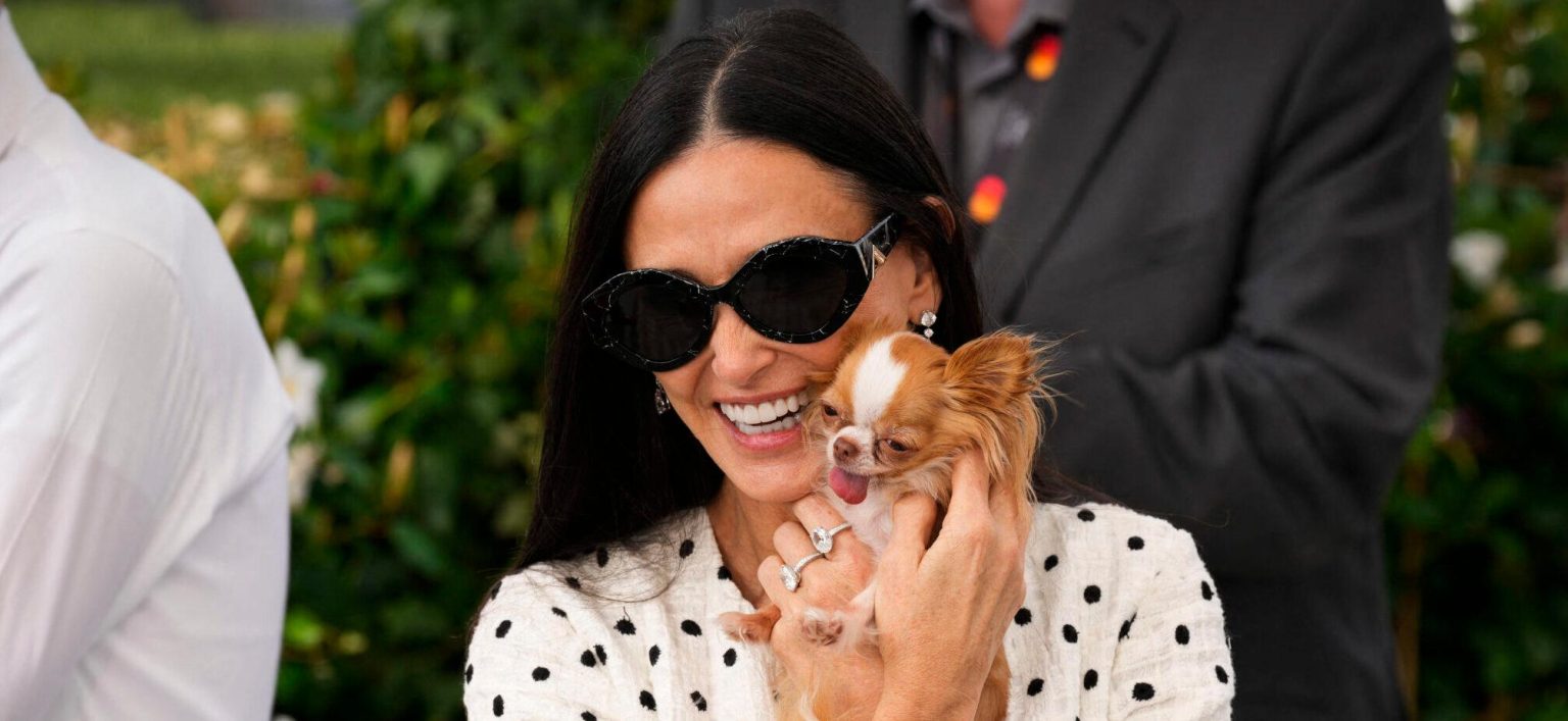 Demi Moore Suggested To Hit Purple Carpets With A Man, Not Her Canine