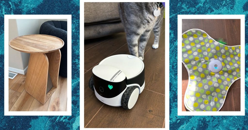 The Greatest Cat Toys for Your Furry Good friend (2025)