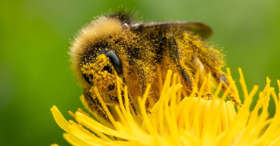 Welcome to the Worst Allergy Season Ever Welcome to the Worst Allergy Season Ever