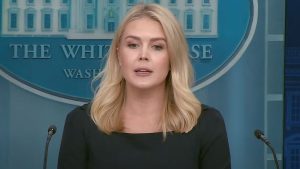 White Home Prepares To Go After Noncitizens Who Defraud Entitlement Applications