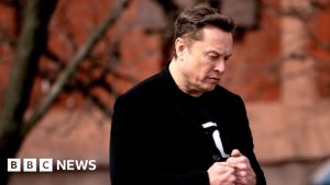 Tesla gross sales plunge after Elon Musk backlash