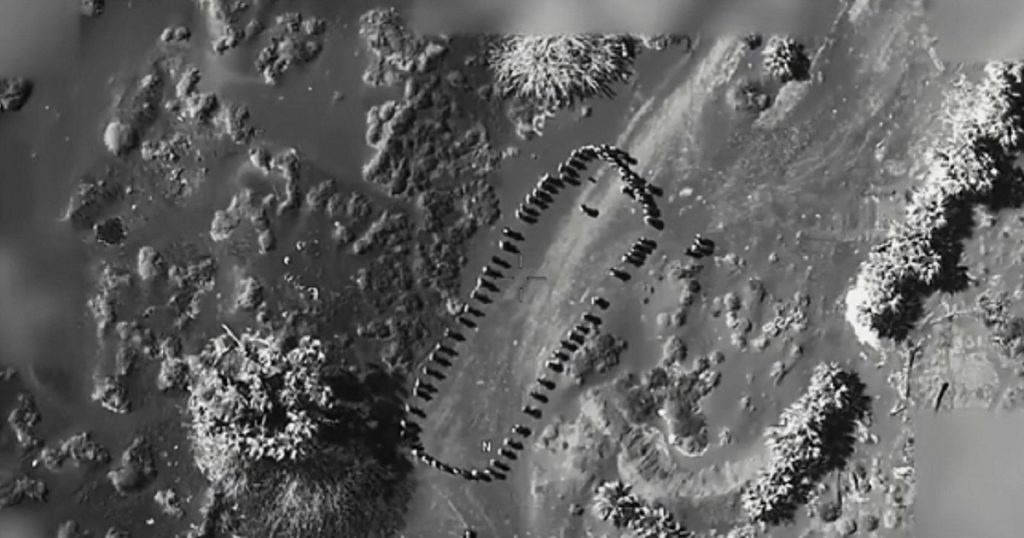 Trump Posts Video: ‘Houthis’ Collect for ‘Directions,’ Seconds Later There’s Only a Crater The place They Stood | The Gateway Pundit Trump Posts Video: ‘Houthis’ Collect for ‘Directions,’ Seconds Later There’s Only a Crater The place They Stood | The Gateway Pundit