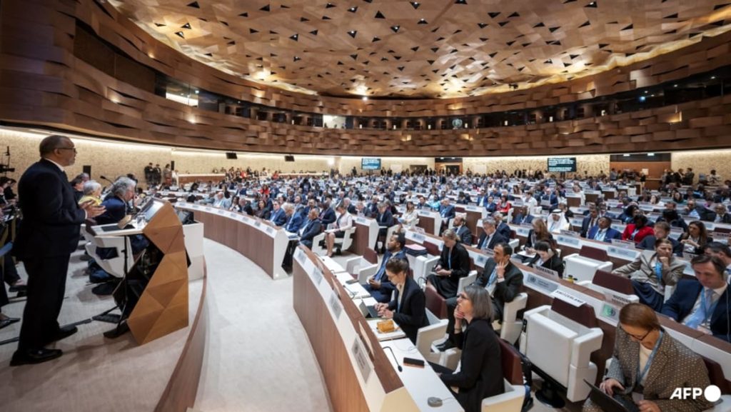 WHO adopts landmark pandemic settlement