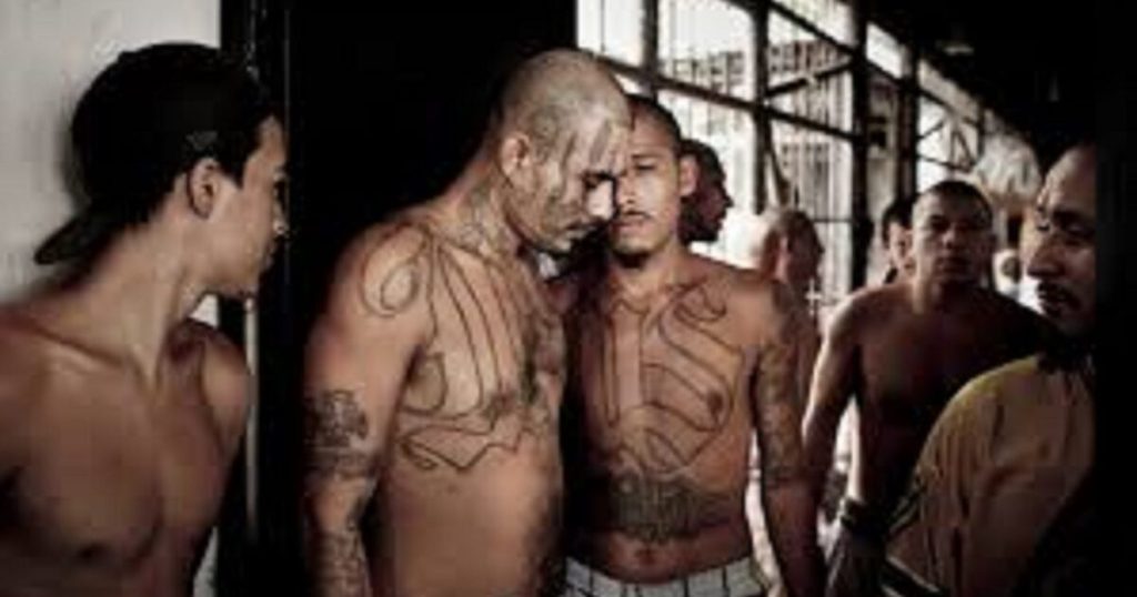 BREAKING: Three Virginia Dept. of Corrections Officers Stabbed in State Jail in Premeditated Assault Involving 5 MS-13 Unlawful Alien Gang Members | The Gateway Pundit