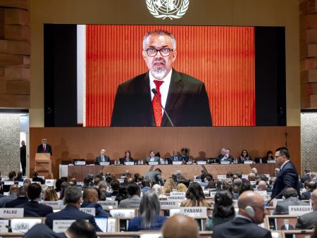WHO members undertake landmark pandemic settlement in US absence | Well being Information