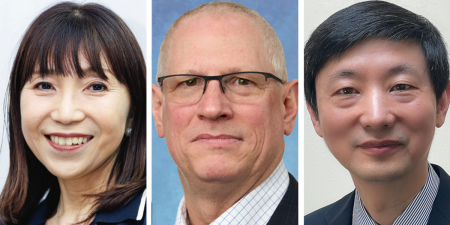 Discover IEEE Board’s Impactful Management