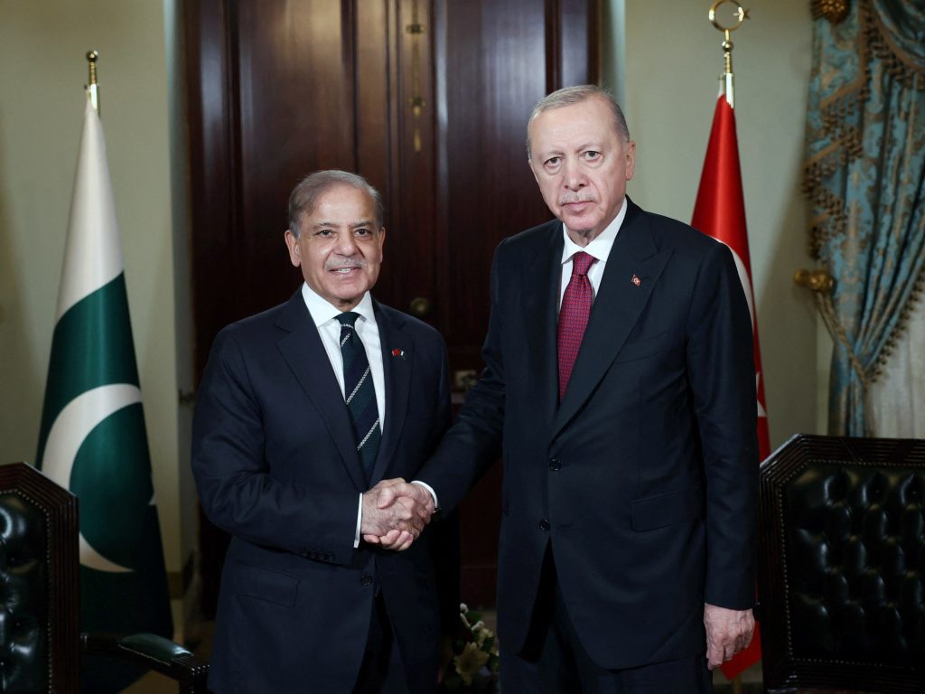 Turkiye’s Erdogan meets Pakistan PM in Istanbul weeks after India battle | Politics Information