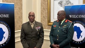 US weighing way forward for navy command in Africa, high basic says