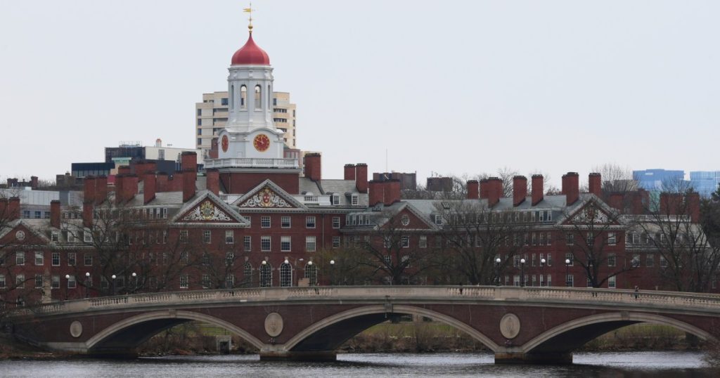 Trump administration bars Harvard from future analysis grants | Donald Trump Information
