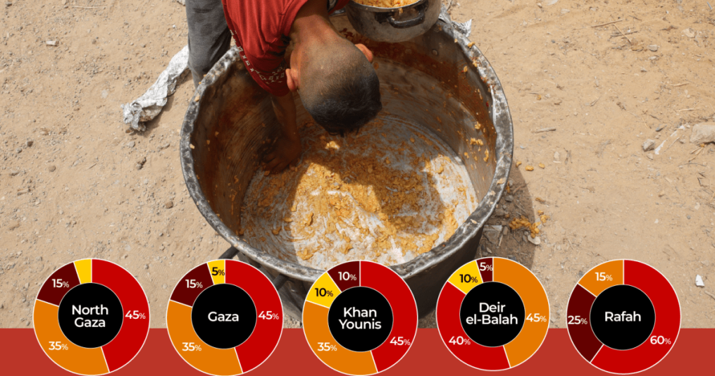 What’s famine, and why is Gaza liable to reaching it quickly? | Israel-Palestine battle Information