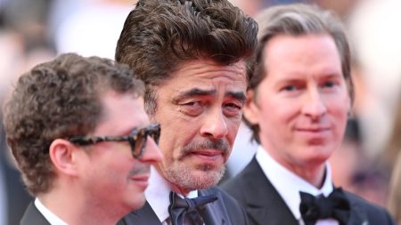 ‘Phoenician Scheme’ Cannes Premiere Will get 7½-Minute Ovation As Wes Anderson Returns