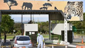 Brazil confirms chicken flu case at zoo