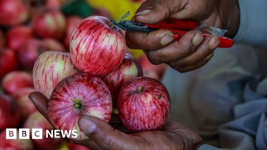 Indian scientists seek for the proper apple Indian scientists seek for the proper apple