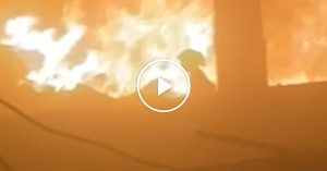 ‘Expensive Lady, Get Out!’: A Younger Palestinian Escapes an Israeli Strike